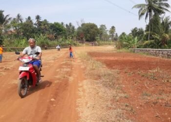 Sudah Telan Rp120 Miliar, Jalan Lingkar Utara Kota Cilegon Malah Jadi Kebun oleh Warga