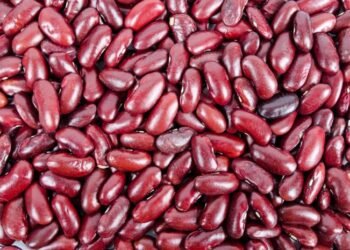 Tips dari Dokter Zaidul Akbar untuk Obat Gagal Ginjal Agar Tidak Perlu Cuci Darah Terus