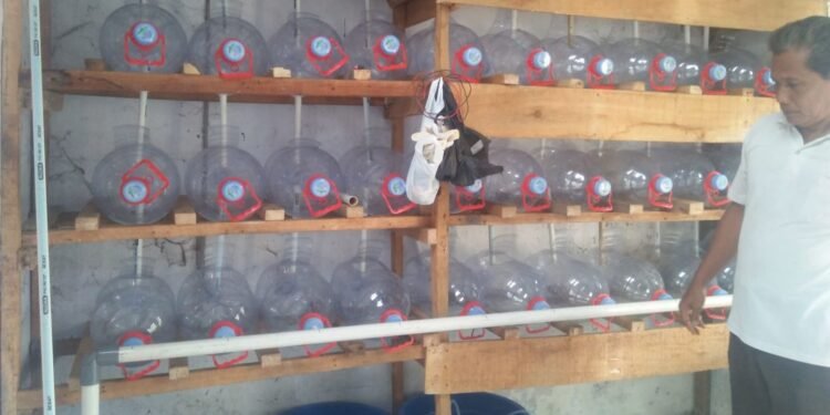 Boleh Ditiru Nih Cara Kreatif Warga Lebak Indah Geluti Budidaya Lobster Air Tawar Pakai Galon Bekas