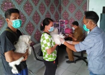 Hari Rabies Sedunia, Ada Layanan Vaksinasi Rabies Gratis di Banten, Cek Lokasinya di Sini 7 Hari Rabies Sedunia, Ada Layanan Vaksinasi Rabies Gratis di Banten, Cek Lokasinya di Sini