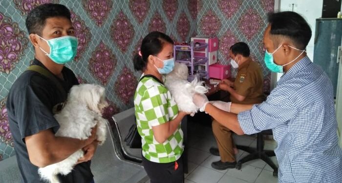 Hari Rabies Sedunia, Ada Layanan Vaksinasi Rabies Gratis di Banten, Cek Lokasinya di Sini
