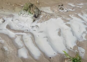 Pengusaha Tambak Udang di Kecamatan Carita Kembali Kena Tegur