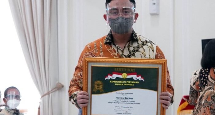 Banten Peringkat 3 Penghasil Padi Terbanyak, Wagub: Membantu Ketahanan Pangan Nasional 1 Banten Peringkat 3 Penghasil Padi Terbanyak, Wagub: Membantu Ketahanan Pangan Nasional