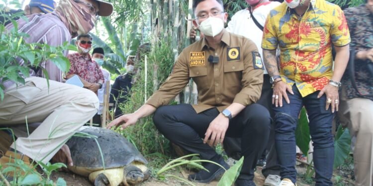 Hari Sungai Sedunia, Wagub Banten Lepasliarkan Kura-kura ke Cisadane