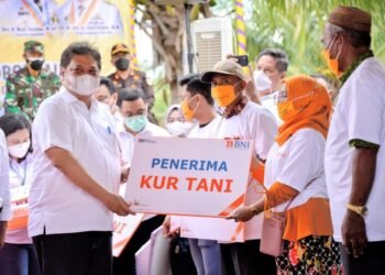 Sektor Pertanian Tumbuh di Massa Pandemi, Pemerintah Terus Dorong dengan KUR Kepada Petani