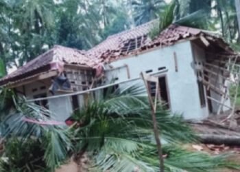 Bruuuk...! Rumah Warga Cihara Lebak Tertimpa Pohon Kelapa Sepanjang 20 Meter