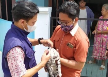 Jangan Kaget Ya! Pemilik Anjing dan Kucing di Cilegon Siap-siap Didatangi Dokter Hewan