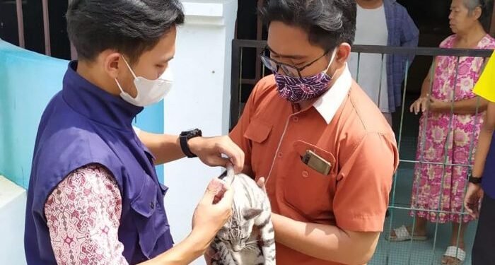 Jangan Kaget Ya! Pemilik Anjing dan Kucing di Cilegon Siap-siap Didatangi Dokter Hewan