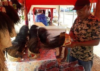 Pakai Bulu Kasuari dan Cendrawasih, Topi Khas Papua Banyak Diburu Kontingen PON untuk Dijadikan Oleh-oleh