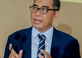 Judicial Review AD ART Partai Demokrat, Sebuah Paradox