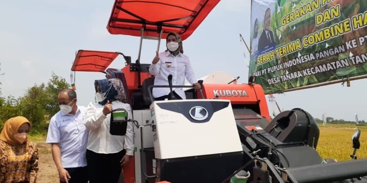 PT PIP Bantu Alat Pertanian Senilai Rp600 Juta, Tapi Petani Tetap Menyewa