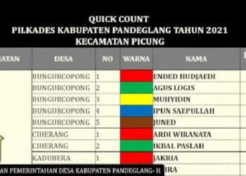 Perhitungan Suara Pilkades Pandeglang Bisa Disaksikan Lewat Link Siaran Langsung YouTube, ini Linknya