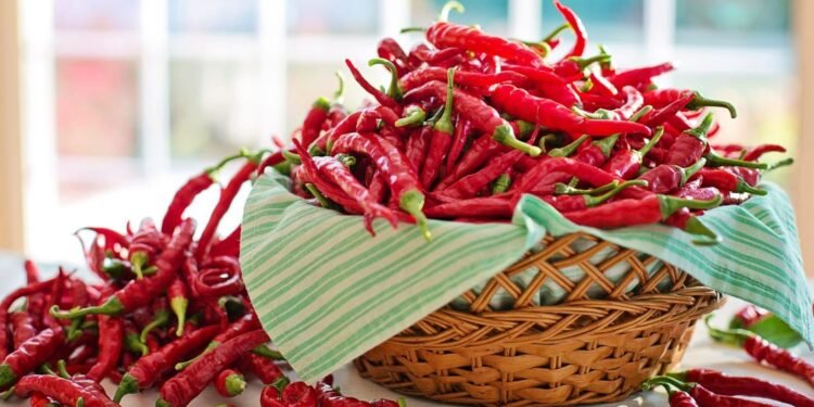 Konsumsi Makanan Pedas ternyata Ada Manfaatnya Loh, Yuk Cek 1 Konsumsi Makanan Pedas ternyata Ada Manfaatnya Loh, Yuk Cek