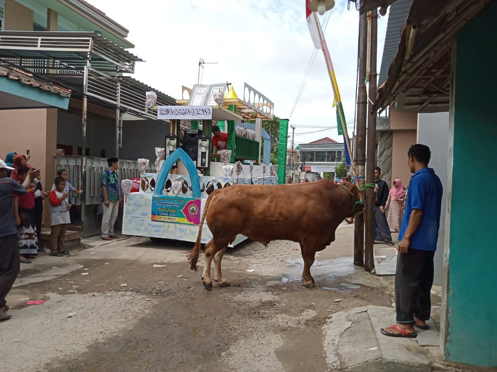 Pemprov Banten Niat Gemukkan Sapi Sampai Beratnya 1 Ton untuk Dijual ke Presiden Jokowi 1 Sapi Limosin Presiden Jokowi Jadi Hadiah di Panjang Mulud Kota Cilegon, Harganya Rp370 Juta