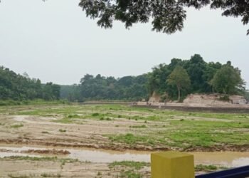 Situ Palayangan Lebak Kembali Alami Pendangkalan, Areal Sawah Tak Bisa Terairi 6 Situ Palayangan Lebak Kembali Alami Pendangkalan, Areal Sawah Tak Bisa Terairi