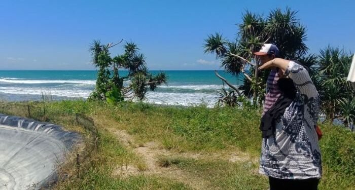 Terus meluas! Kecamatan Sumur, Cikeusik, Sukaresmi, Panimbang Pandeglang Jadi Lokasi Perusahaan Tambak Udang