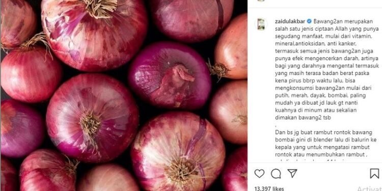 Mengatasi Rambut Rontok dan Menumbuhkan Rambut dengan Baluran Bawang kata dr Zaidul Akbar