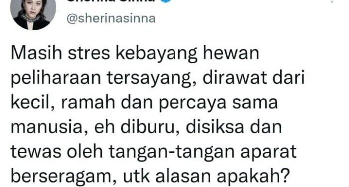 Soroti Anjing di Aceh yang Mati Usai Ditangkap Satpol PP, Sherina Munaf: Sakit!