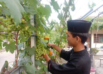 Yayasan Al Baqo Jadi Pusat Pengembangan Pertanian 8 Yayasan Al Baqo Jadi Pusat Pengembangan Pertanian