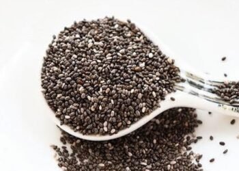 Khasiat Biji Chia Ternyata Mampu Menurunkan Berat Badan 2 Khasiat Biji Chia Ternyata Mampu Menurunkan Berat Badan