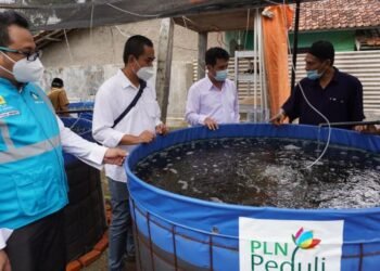 PLN Peduli Beri Bantuan Program Pemberdayaan Santri Pesantren 1 PLN Peduli Beri Bantuan Program Pemberdayaan Santri Pesantren