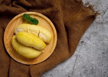 Catat, Ini Resep Membuat Sop Durian Enak