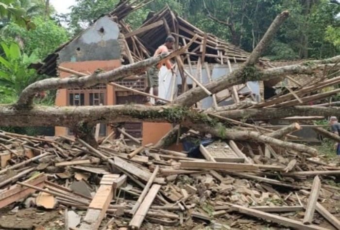 Diguyur Hujan Disertai Angin, Rumah Warga Pandeglang Hancur Tertimpa Pohon Tumbang 1 Diguyur Hujan Disertai Angin, Rumah Warga Pandeglang Hancur Tertimpa Pohon Tumbang