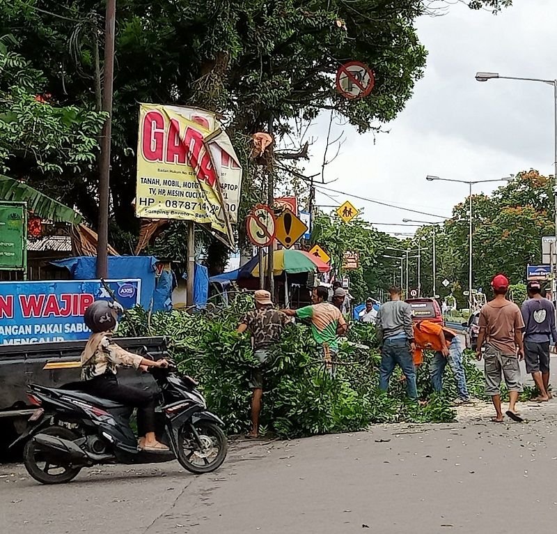 Jelang HUT Lebak ke 193, Wajah Kota Dipercantik dan Pohon Tua Digergaji 2 Jelang HUT Lebak ke 193, Wajah Kota Dipercantik dan Pohon Tua Digergaji