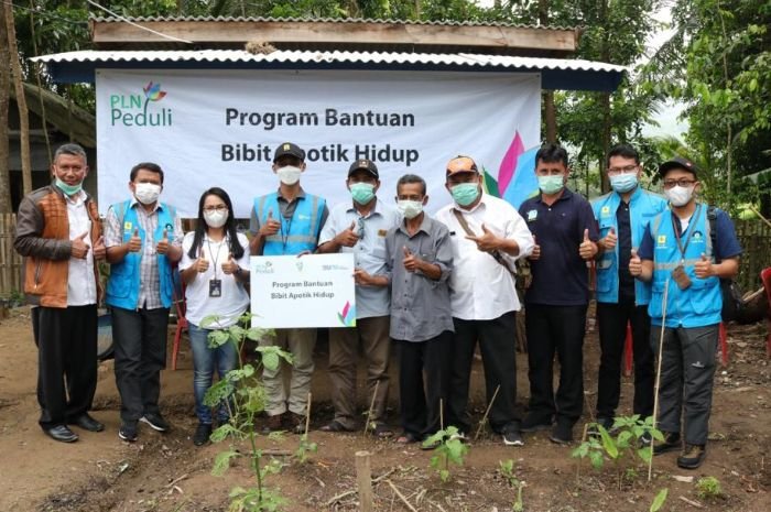 PLN Peduli Berikan Bantuan Bibit Apotek Hidup untuk Warga Desa Cigorondong Pandeglang 1 PLN Peduli Berikan Bantuan Bibit Apotek Hidup untuk Warga Desa Cigorondong Pandeglang