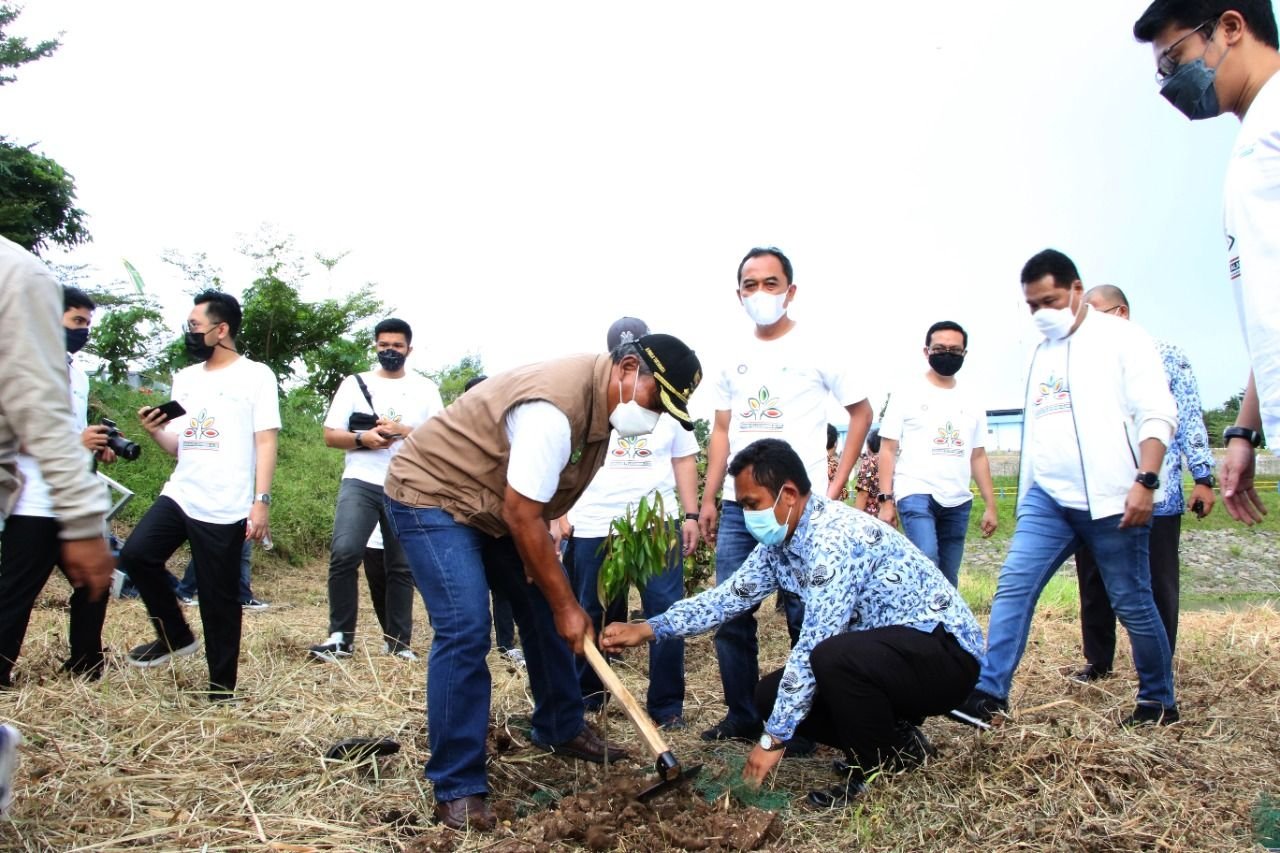 Bendung Sindangheula di Kabupaten Serang Dijadikan Kebun Mangga, Ini Pesan Wakil Bupati Serang