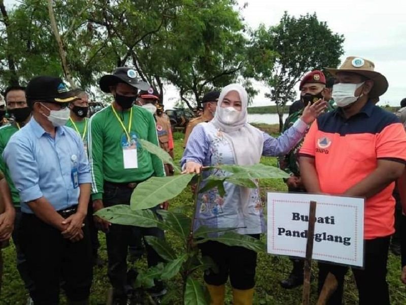 Ramli Idris, Warga Timor Leste yang Puluhan Tahun Tinggal di Sumur Menjadi Kepala Sekolah dan Pelestari Alam 1 Ramli Idris, Warga Timor Leste yang Puluhan Tahun Tinggal di Sumur Menjadi Kepala Sekolah dan Pelestari Alam