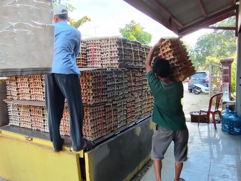 Harga Telur Ayam di Pasar Badak Naik Tajam dan Tembus Rp32 Ribu Per Kilogram 1 Harga Telur Ayam di Pasar Badak Naik Tajam dan Tembus Rp32 Ribu Per Kilogram