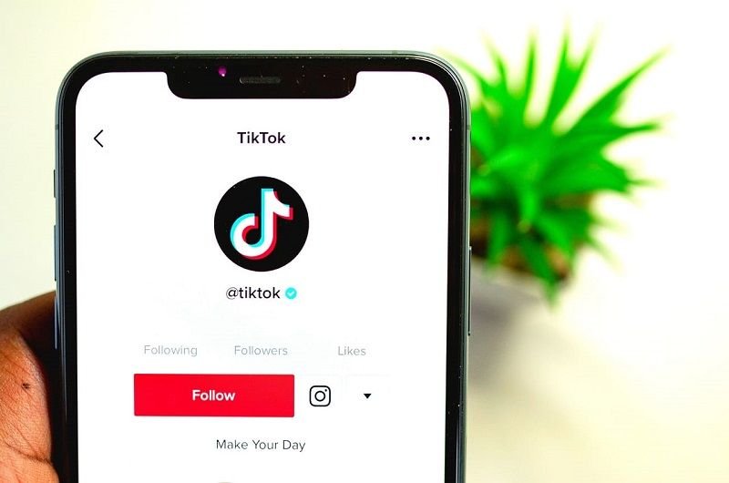 Cara Download TikTok MP4 Tanpa Watermark di SnapTik, Mudah dan Gratis!
