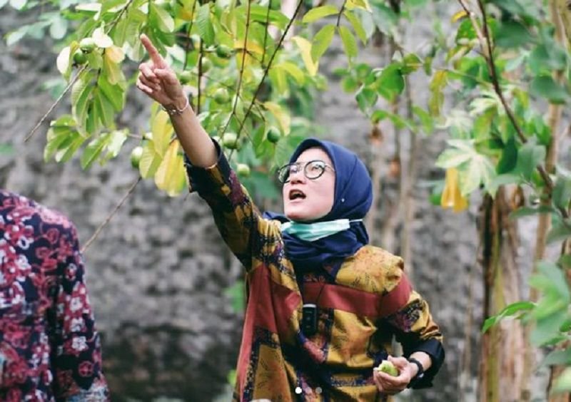 Ekspresi Bupati Lebak Iti Octavia Saat Menemukan Pohon Jambu yang Lebat, Annisa Yudhoyono Kasih Emot Ketawa 2 Ekspresi Bupati Lebak Iti Octavia Saat Menemukan Pohon Jambu yang Lebat, Annisa Yudhoyono Kasih Emot Ketawa