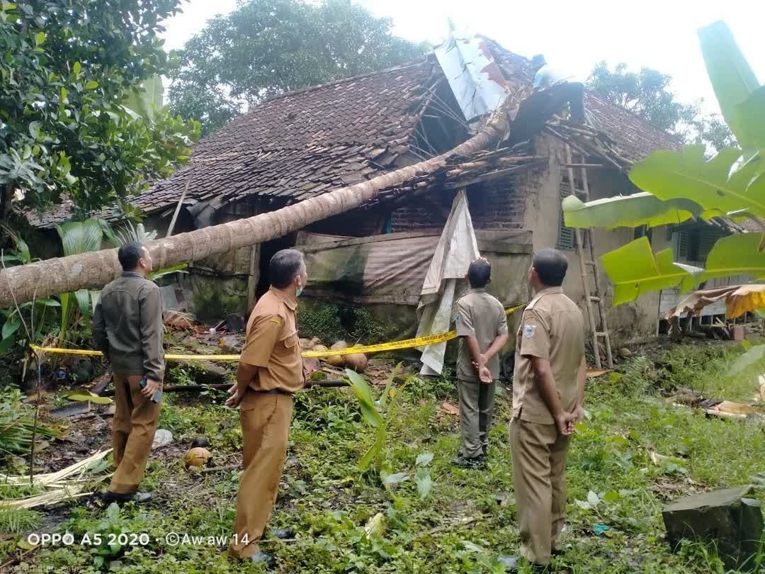 Rumah Warga Surianeun Pandeglang Tertimpa Pohon Tumbang, Begini Kondisinya