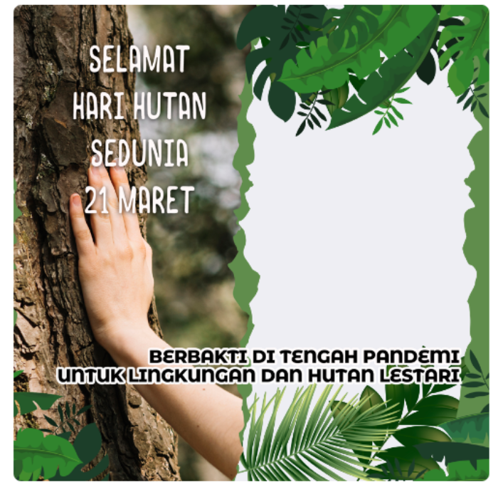 Kumpulan Ucapan Selamat Hari Hutan Sedunia 21 Maret 2022, Kampanyekan Kepedulian dan Kelestarian Hutan