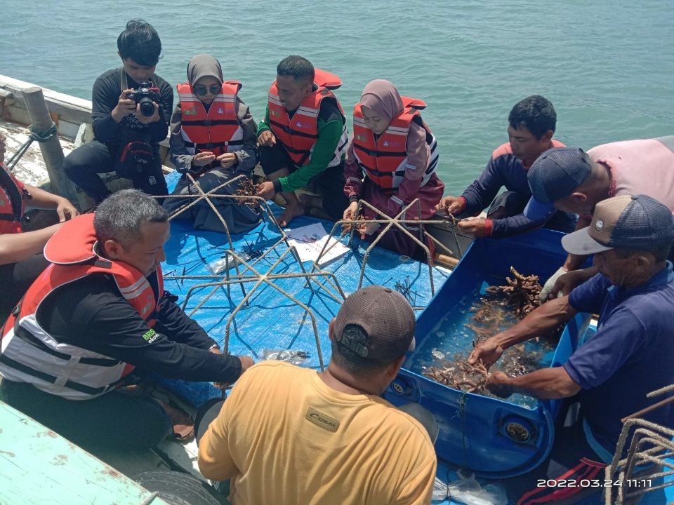 Sebanyak 300 Rak Terumbu Karang Ditanam di Perairan Pulau Badul dan Liwungan