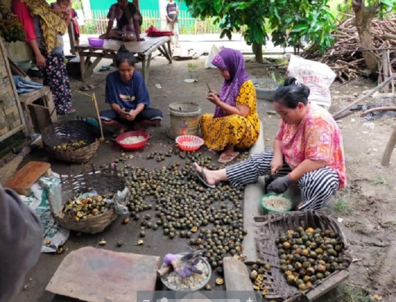 Ramadhan Tiba Warga Kampung Ranca Wiru Lebak Jadi Kuli Kupas Kolang-Kaling