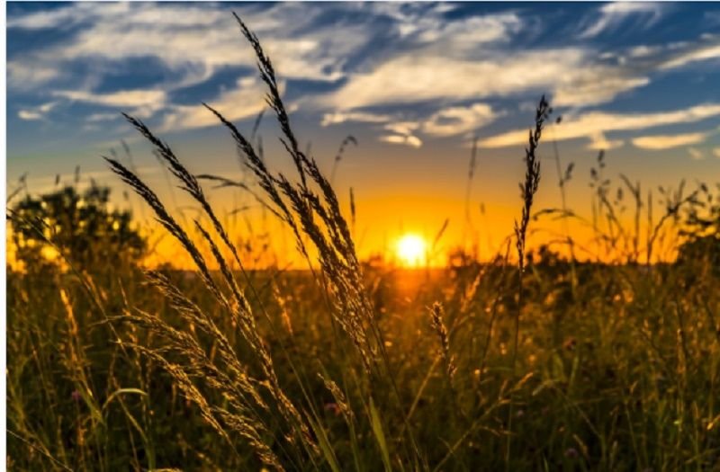 Mafia Tanah Persulit Investasi Masuk Pandeglang, Kadin Indonesia Dukung Polda Lakukan Pembersihan