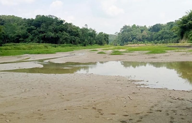 Situ Palayangan Cimarga Alami Pendangkalan Parah, Sebagian Sudah Jadi Daratan 5 Situ Palayangan Cimarga Alami Pendangkalan Parah, Sebagian Sudah Jadi Daratan