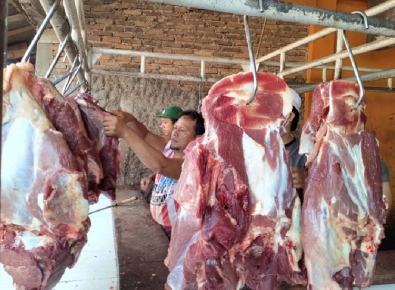 Harga Daging Sapi Tembus Rp 160 Ribu Per Kilogram 8 Harga Daging Sapi Tembus Rp 160 Ribu Per Kilogram