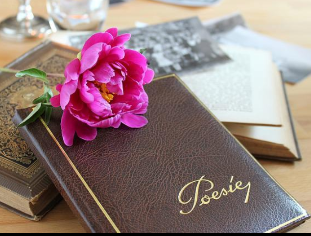 4 Rekomendasi Buku Puisi yang Bisa Kalian Nikmati di Hari Puisi Nasional 28 April 1 4 Rekomendasi Buku Puisi yang Bisa Kalian Nikmati di Hari Puisi Nasional 28 April