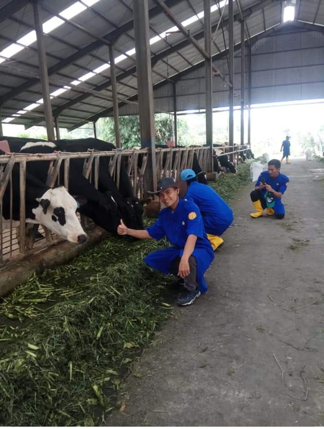 Penyakit PMK Resahkan Peternak di Banten