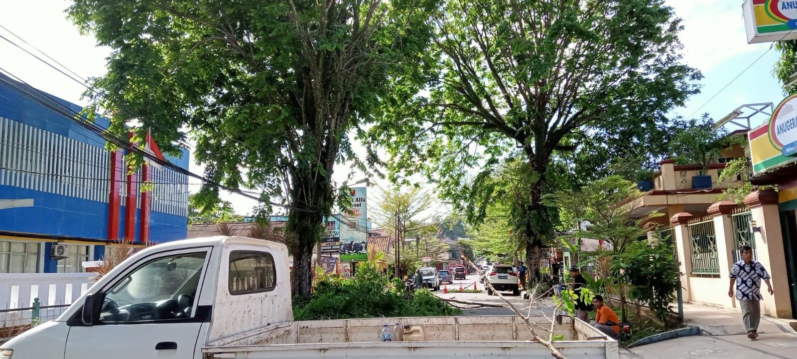 Dahan Pohon Besar di Letnan Muharam, Lebak Dipangkas 1 Dahan Pohon Besar di Letnan Muharam, Lebak Dipangkas
