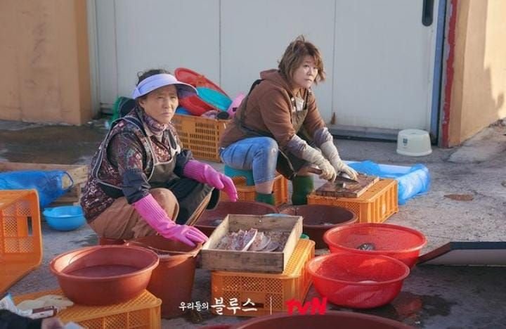 Drama Korea Our Blues Episode 15 Sub Indo: Spoiler, Link Nonton dan Jam Tayang Hari Ini 1 Drama Korea Our Blues Episode 15 Sub Indo: Spoiler, Link Nonton dan Jam Tayang Hari Ini