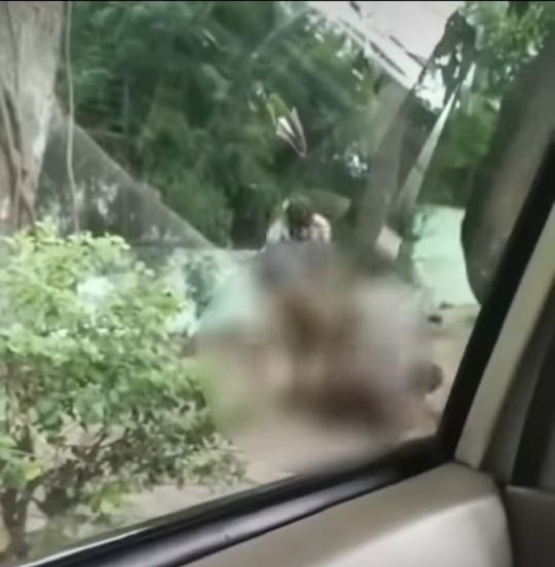 TEGA! 2 Pemuda Rampok Kakek Renta Sambil Bawa Balok Kayu, Hanya Bisa Pasrah saat Dipukuli 2 TEGA! 2 Pemuda Rampok Kakek Renta Sambil Bawa Balok Kayu, Hanya Bisa Pasrah saat Dipukuli