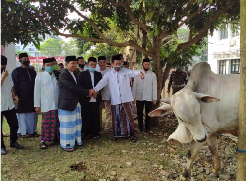 Tips Mencari Hewan Kurban Untuk Idul Adha 1 Tips Mencari Hewan Kurban Untuk Idul Adha