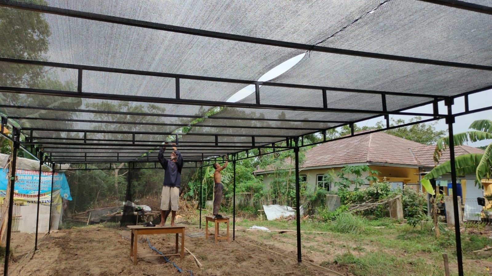 Lahan Tidur Milik Sinar Mas Digarap untuk Ternak Lele dan Program Ketahanan Pangan di Kabupaten Serang 1 Lahan Tidur Milik Sinar Mas Digarap untuk Ternak Lele dan Program Ketahanan Pangan di Kabupaten Serang