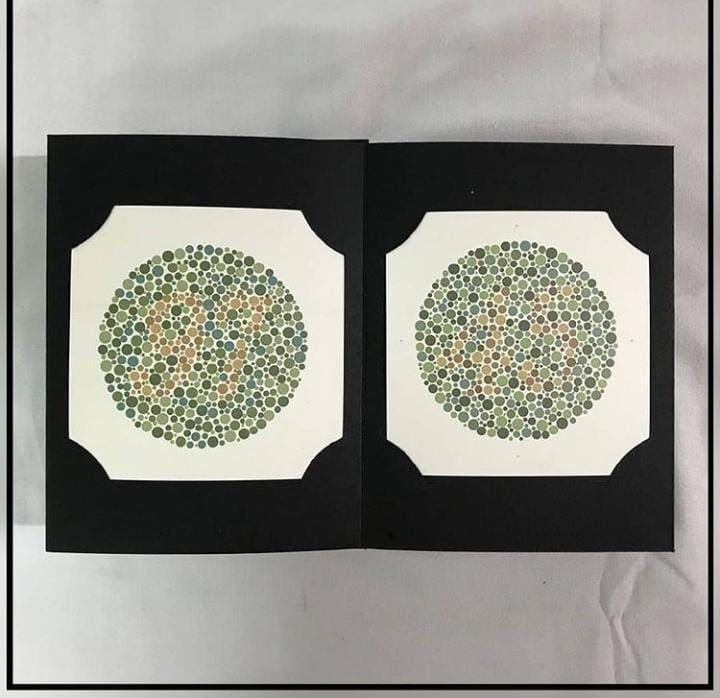 Apa Itu Buta Warna Parsial yang Gagalkan Fahri Fadilah Jadi Calon Siswa Bintara Polri 2021?