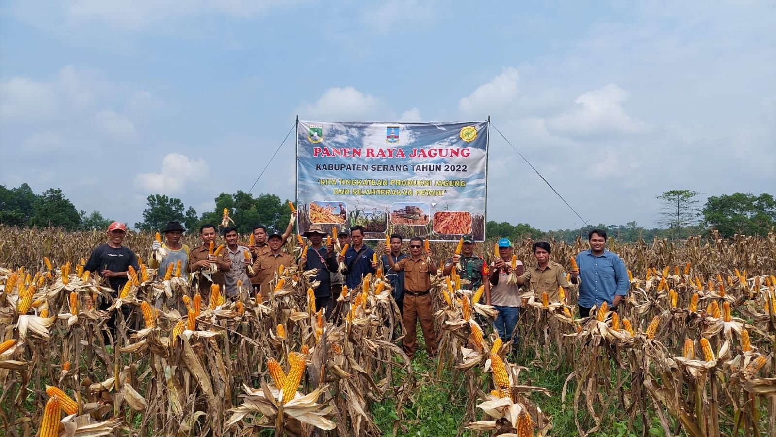 Produksi Jagung Kering di Kabupaten Serang Capai 8 Ton Lebih Per Hektar